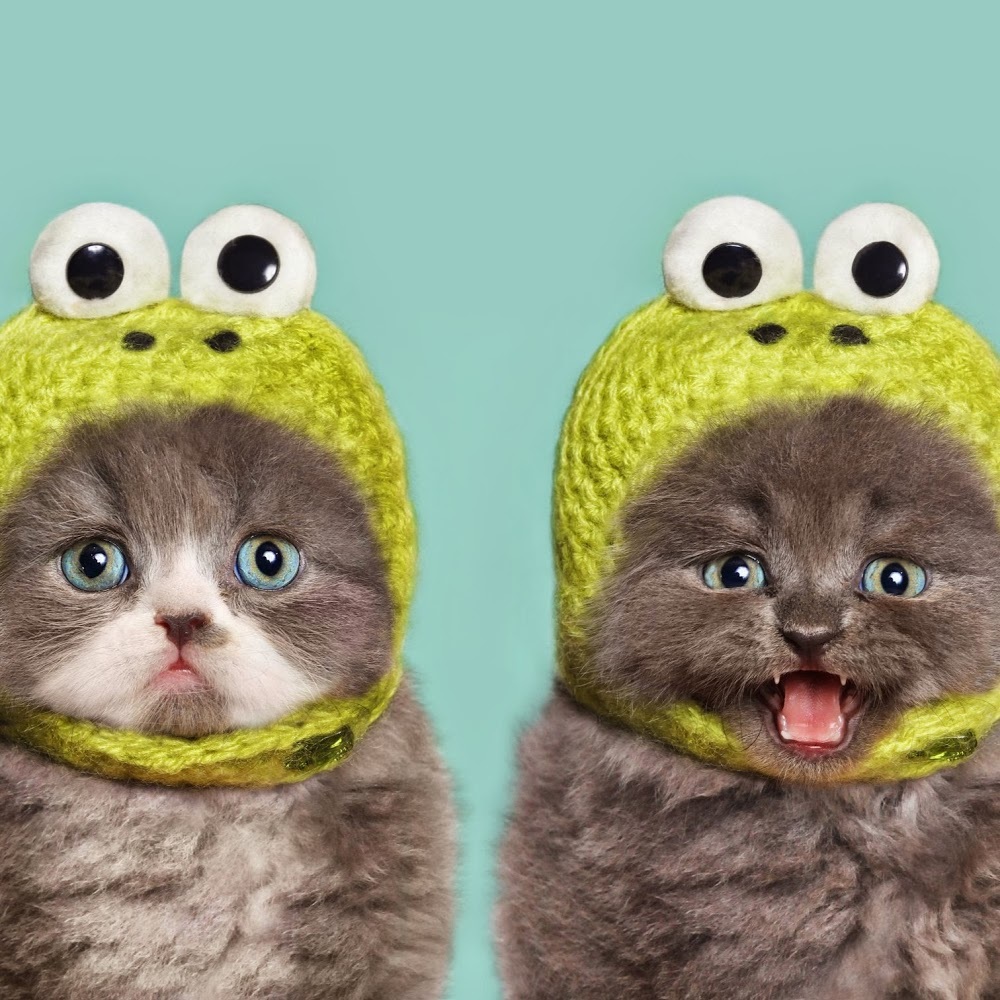 Meet your Posher, Aubrey